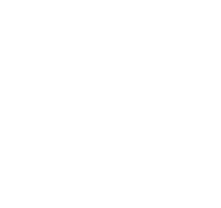 SMI Logo